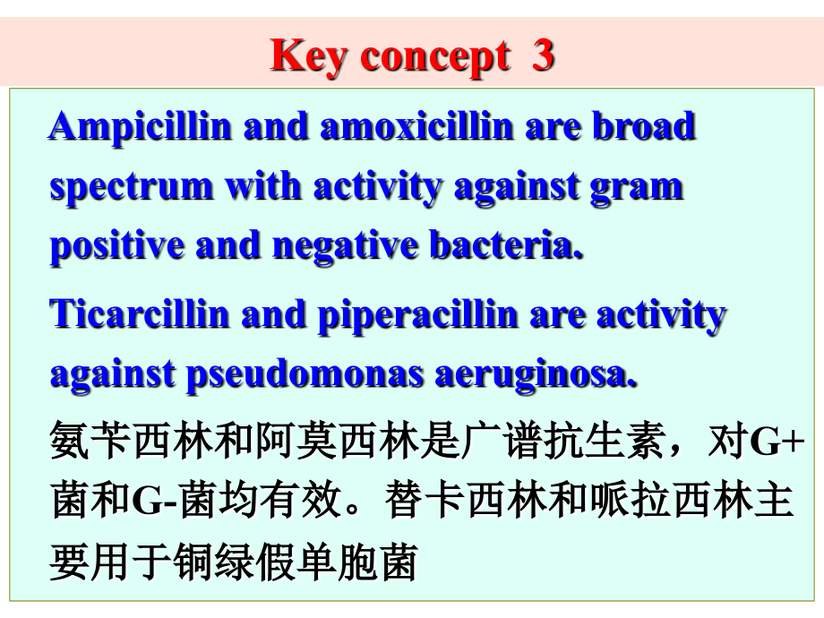 内酰胺类抗生素（黄仁彬）课件_第4页