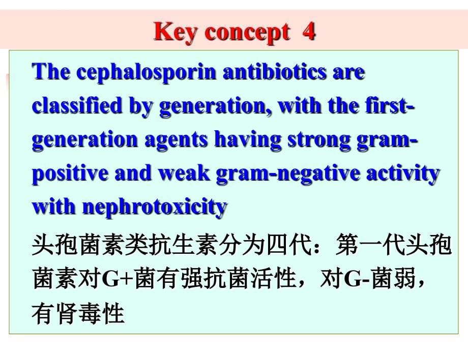 内酰胺类抗生素（黄仁彬）课件_第5页