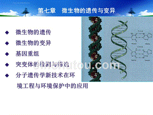 微生物的遗传与变异 (2)课件