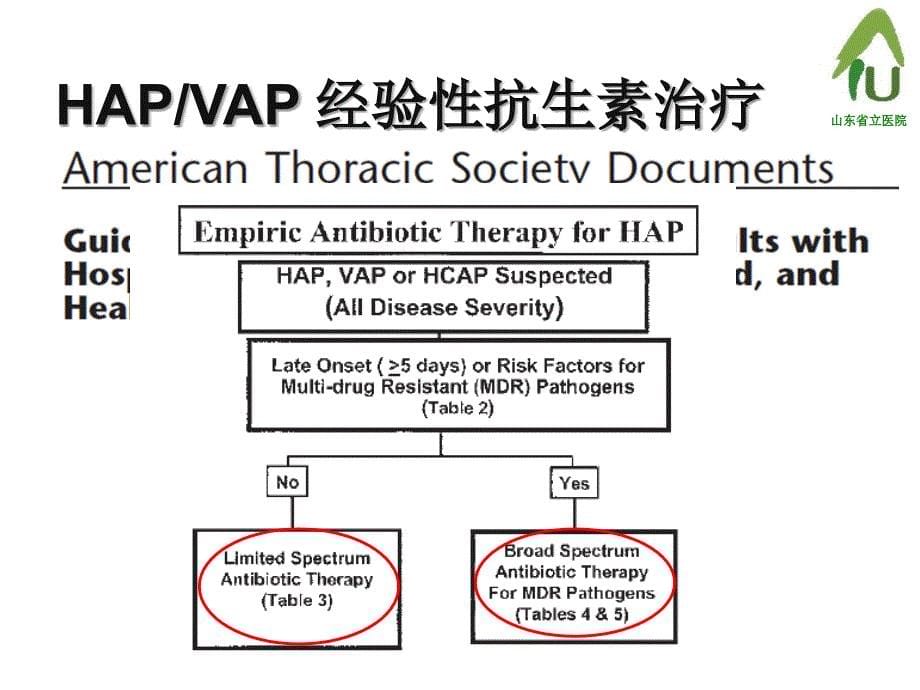 icu抗生素使用课件_第5页