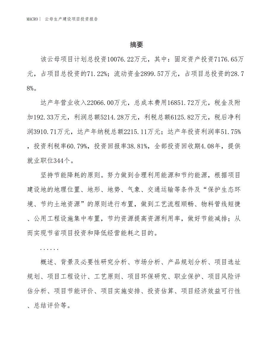 云母生产建设项目投资报告_第2页