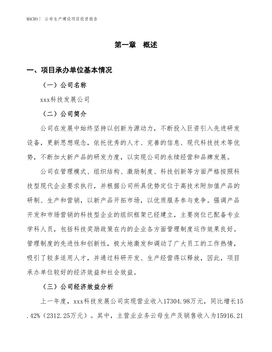 云母生产建设项目投资报告_第4页