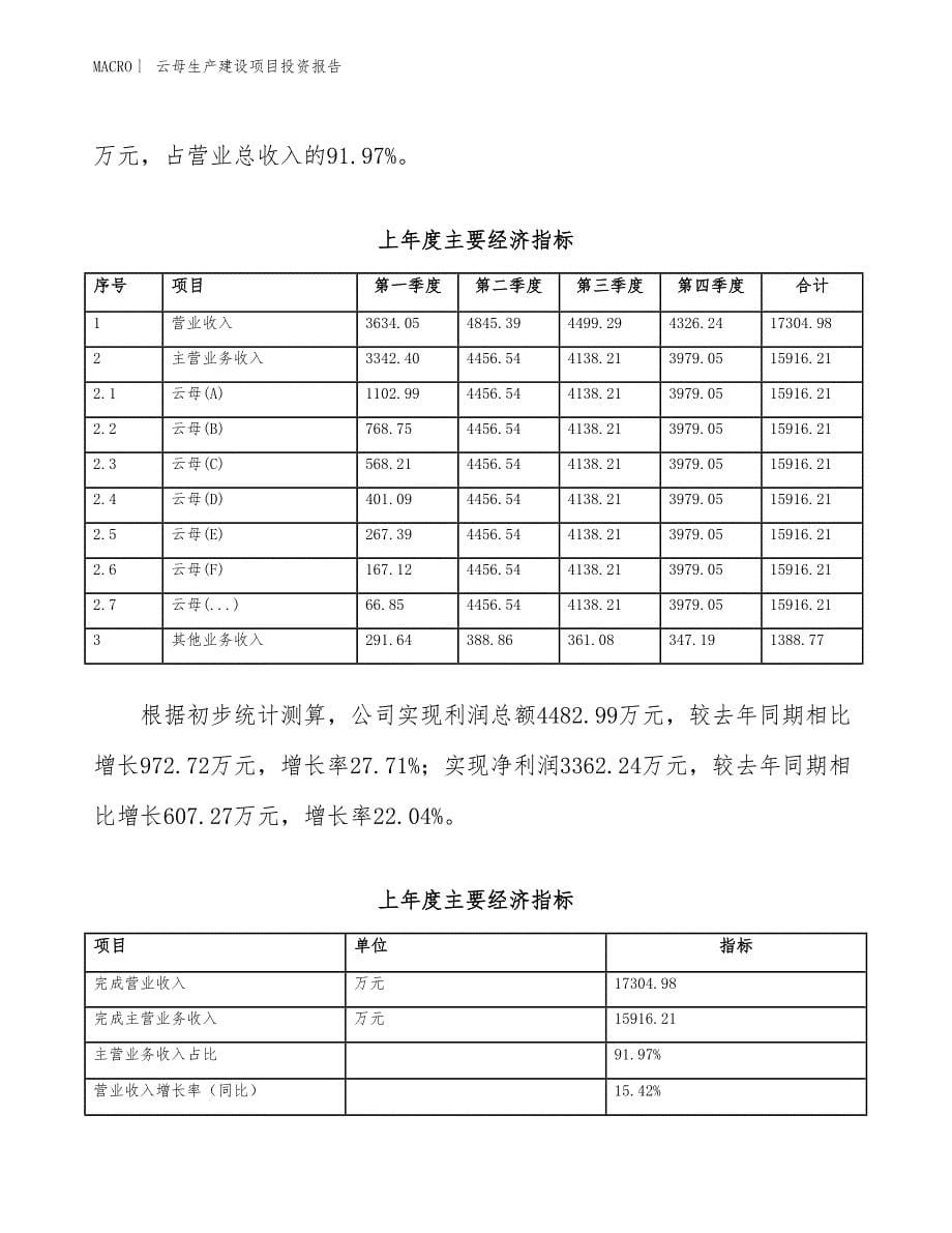 云母生产建设项目投资报告_第5页