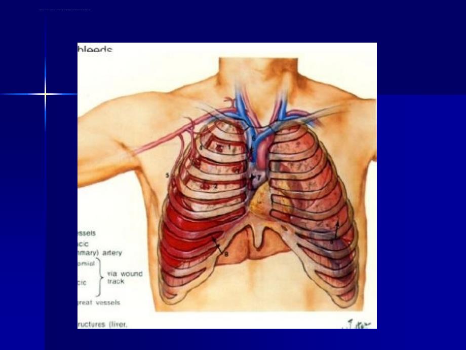 原创哮喘科普ppt课件_第2页