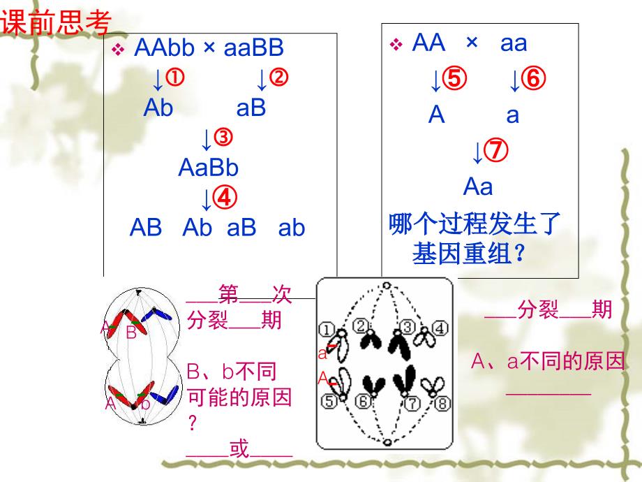 ii-5-2-染色体变异幻灯片-ppt_第1页