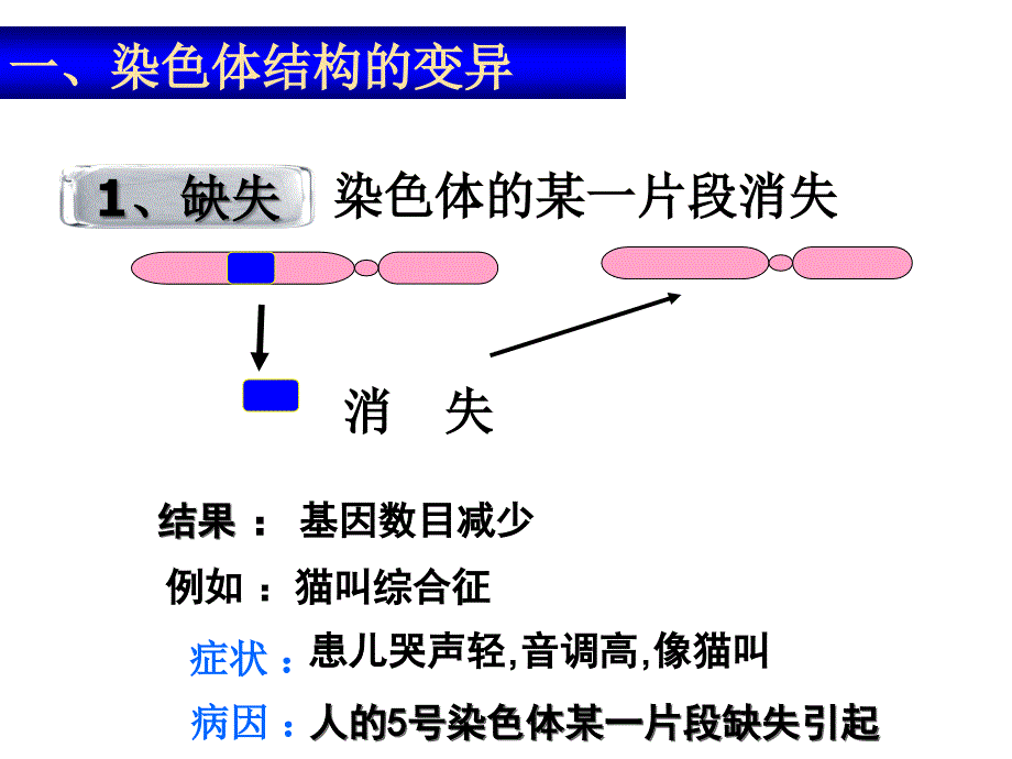 ii-5-2-染色体变异幻灯片-ppt_第4页