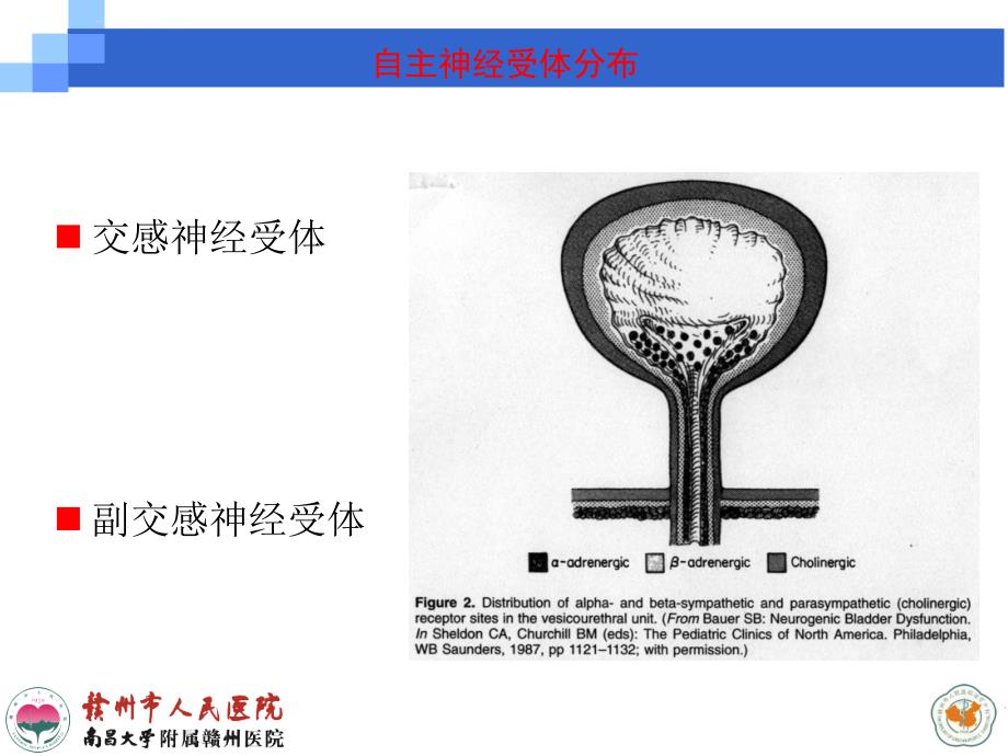 赣州市人民医院泌尿外科：尿动力学检查在排尿功能障碍疾病中的应用_第5页