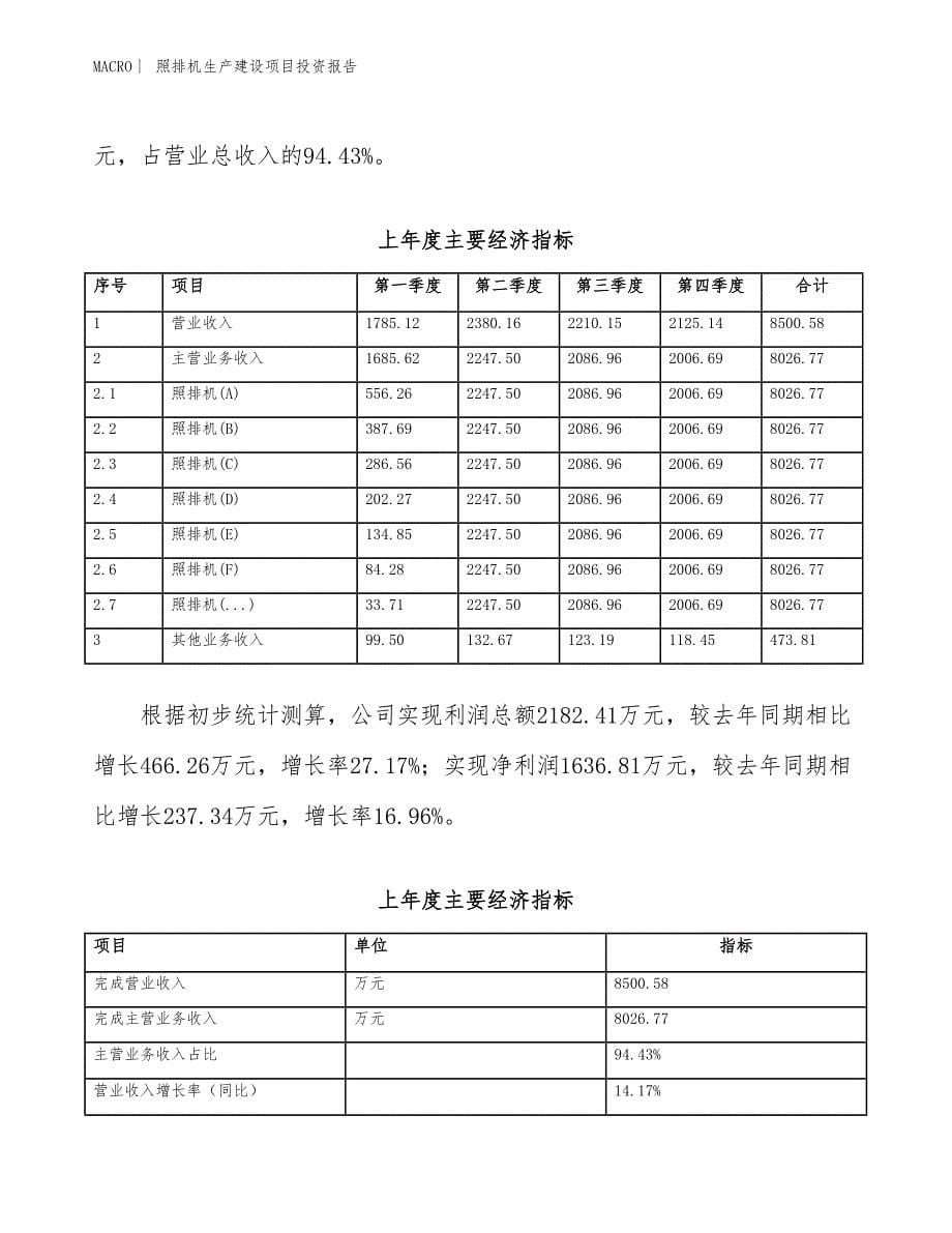 照排机生产建设项目投资报告_第5页