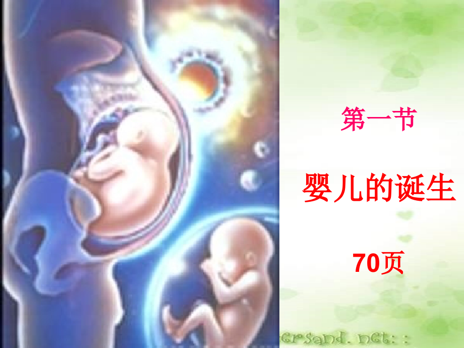 较好的幻灯片-婴儿的诞生1_第3页