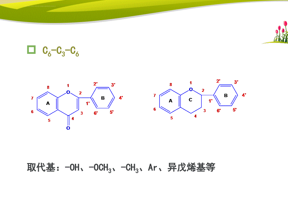 天然药物化学-第五章-黄酮类化合物-1课件_第3页