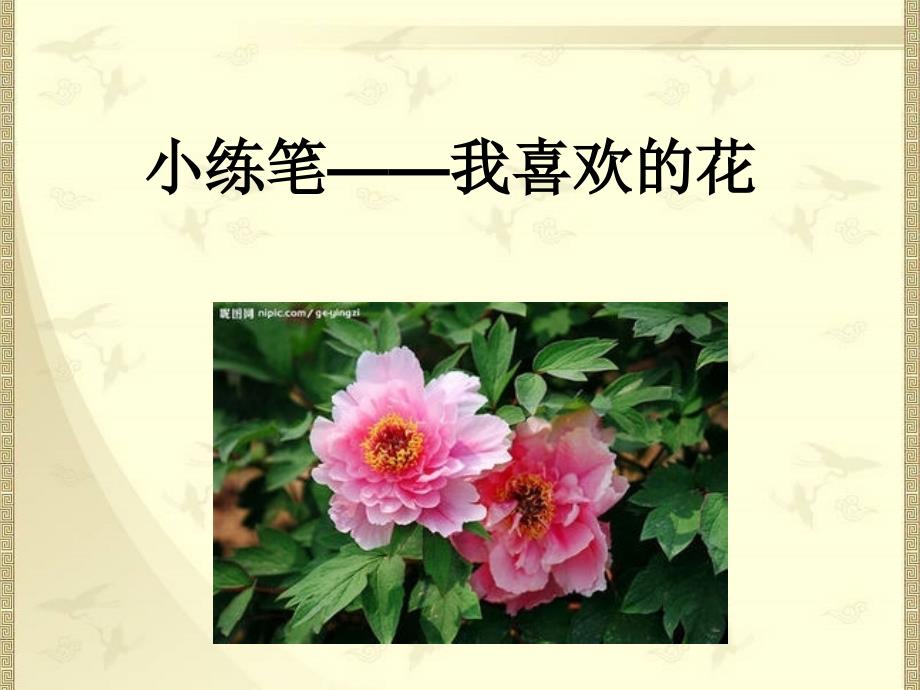 小练笔——我喜欢的花_第1页