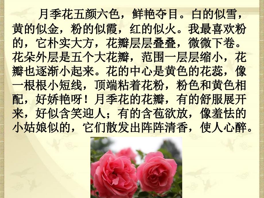 小练笔——我喜欢的花_第2页