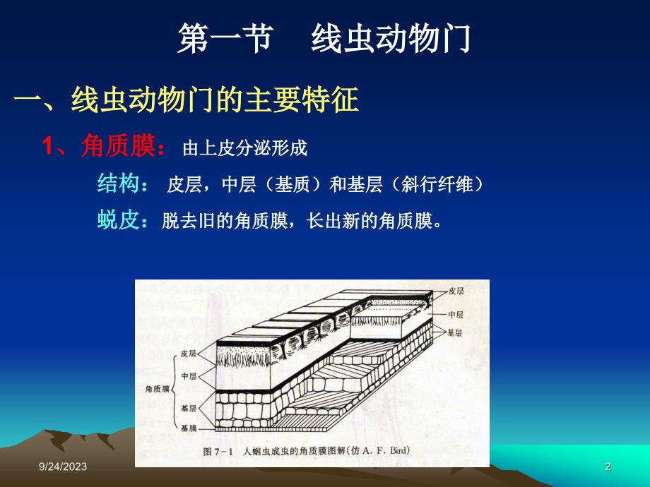 原腔动物门_第2页