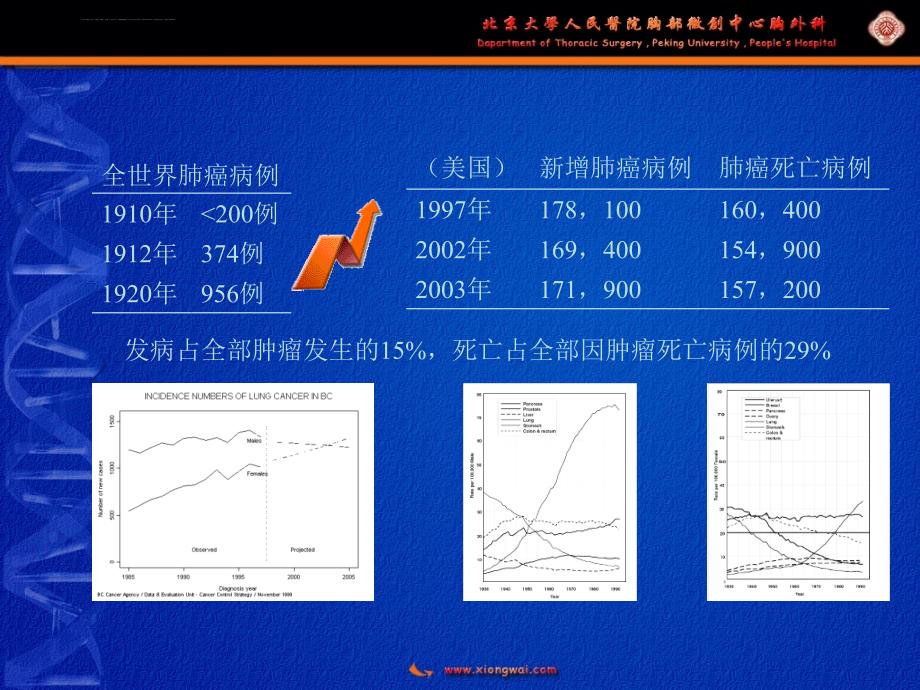 gp96多肽复合物／树突状细胞疫苗研究课件_第3页