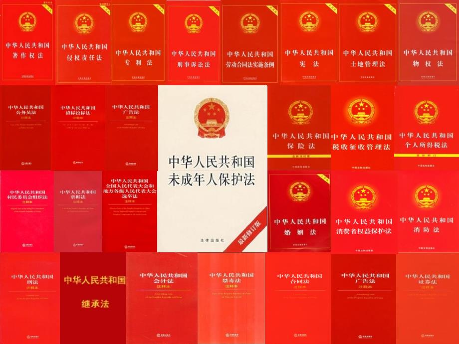 中华人民共和国未成年人保护法宣讲课件_第2页