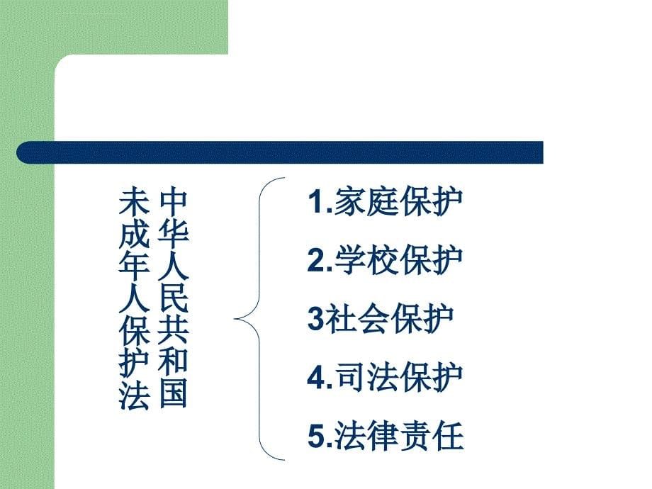 中华人民共和国未成年人保护法宣讲课件_第5页