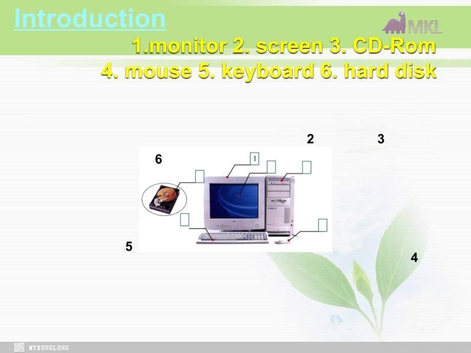 高中英语 Module 6  introduction 课件_第5页