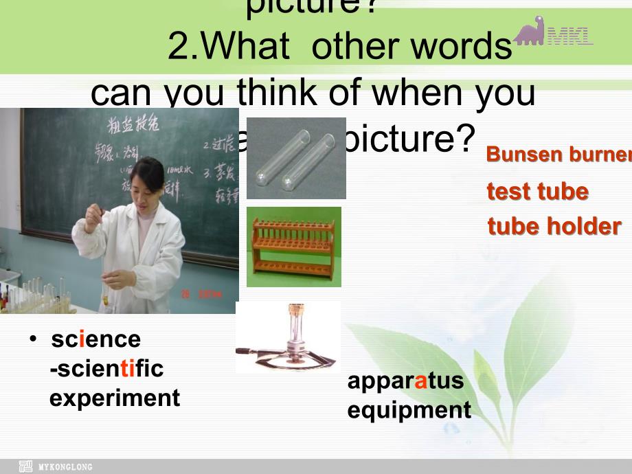 高中英语 Module 5 A lesson in a lab-reading课件 外研版必修1_第3页