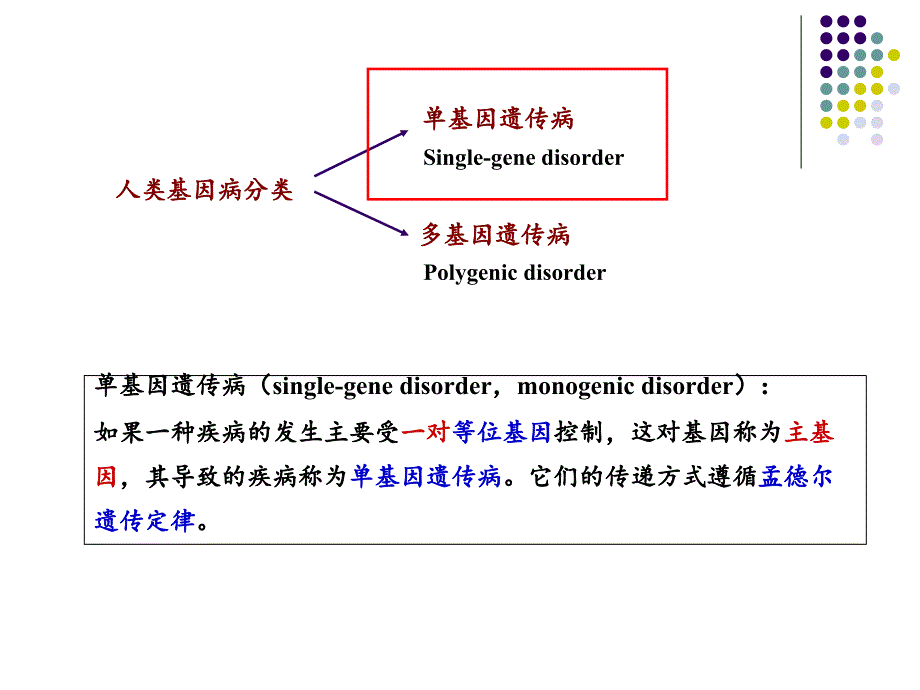 单基因疾病课件_第2页