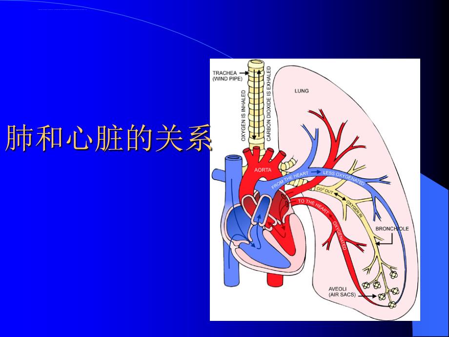 慢性肺原性心脏病护理系列课件_第2页