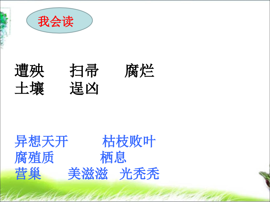 12.大自然的启示(打扫森林).ppt12.大自然的启示(打扫森林)_第3页