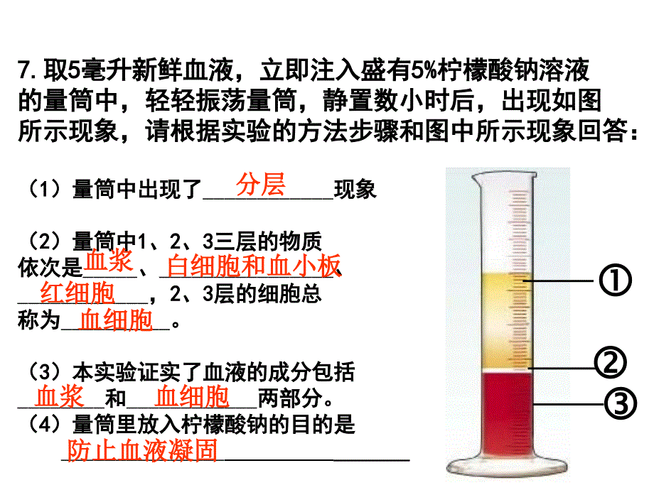 七年级生物下册-第三章《人体内物质的运输》复习幻灯片-(新版)_第4页