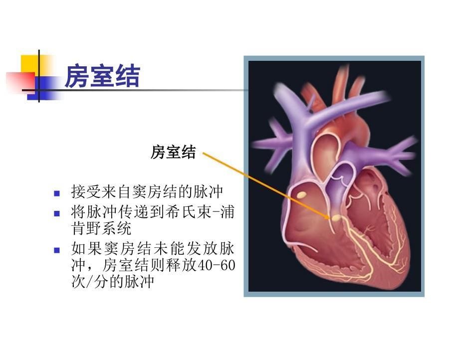 二心脏起搏治疗及护理储海燕课件_第5页