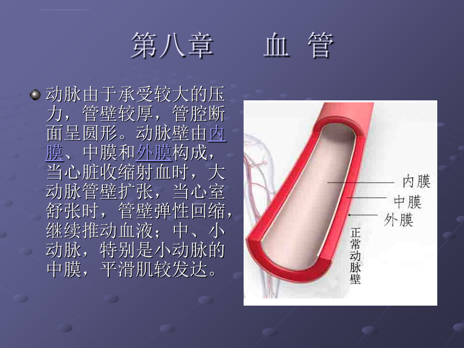 医学影像解剖学-血管课件_第4页