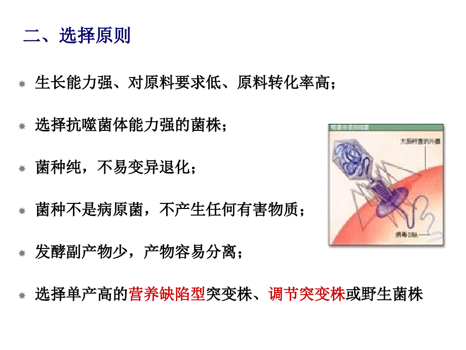 微生物工业菌种的选育与扩大培养课件_第4页