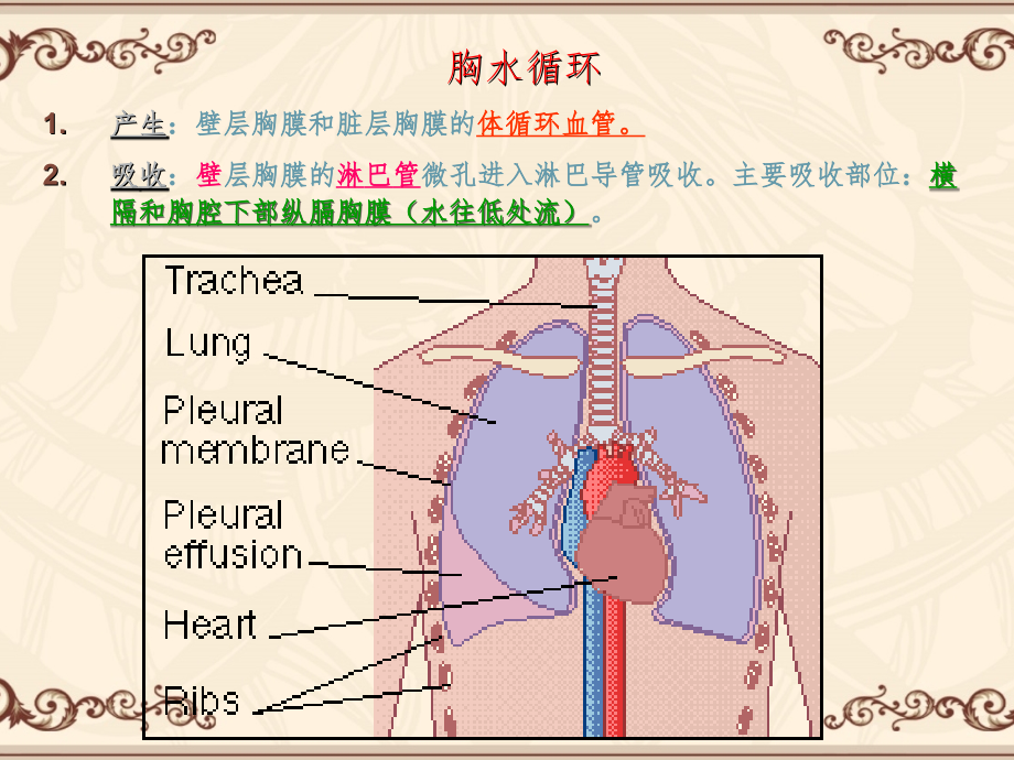 胸腔积液-气胸-脓肿-_第4页