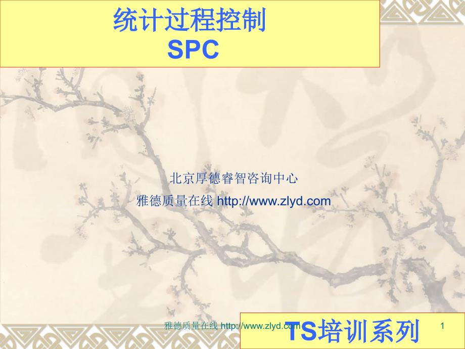 spc培训幻灯片讲解稿_第1页