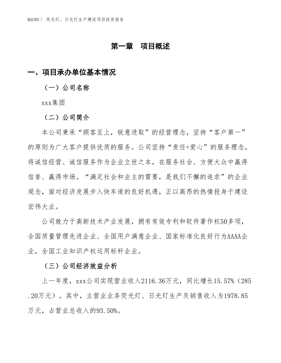 荧光灯、日光灯生产建设项目投资报告_第4页