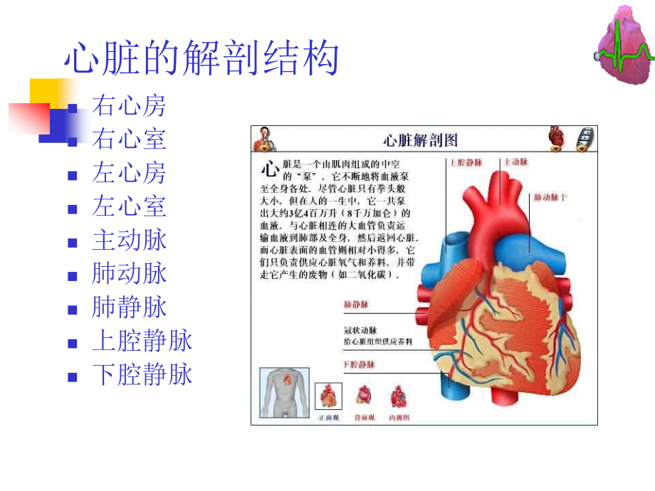 冠心病--河北--张成虎_第3页