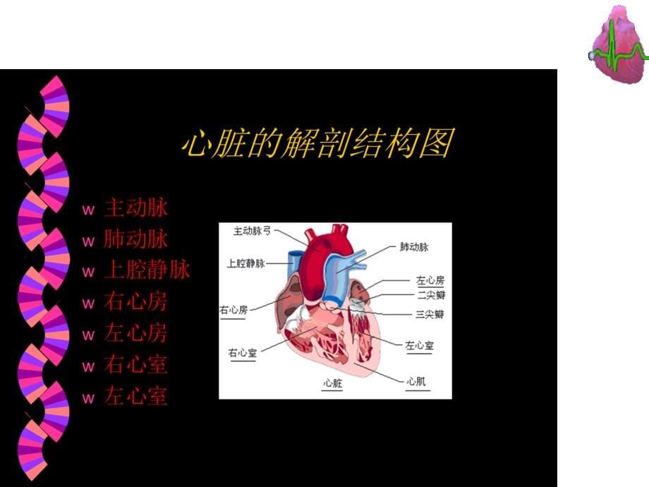 冠心病--河北--张成虎_第5页