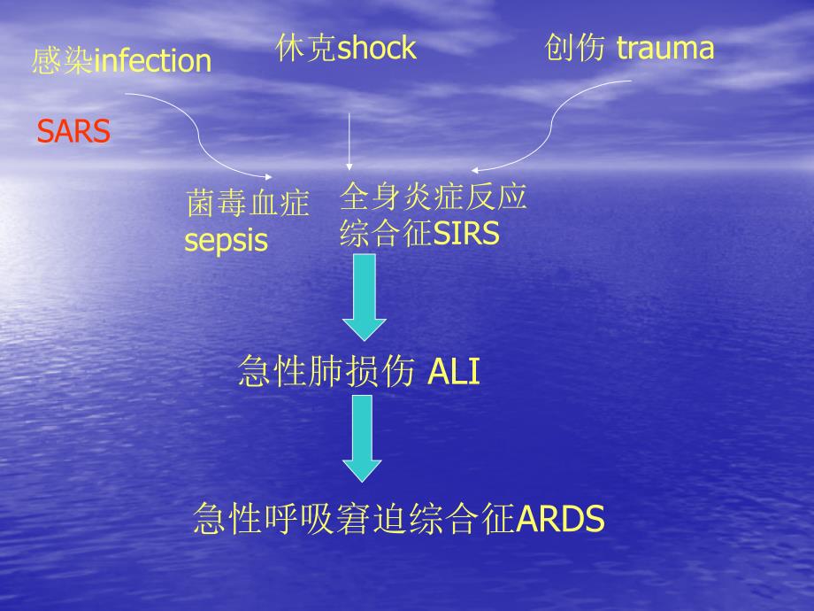 成人呼吸综合征急救(ards)_第4页