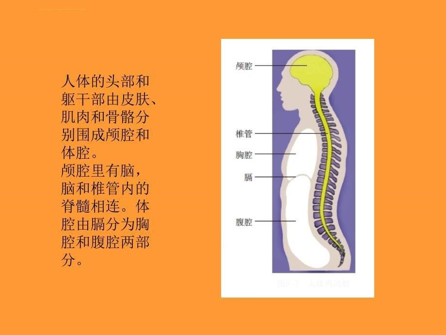 七年级下册历史复习资料幻灯片4new_第5页