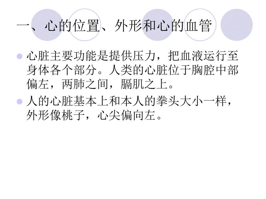 医学影像解剖学-胸部-心与大血管课件_第3页