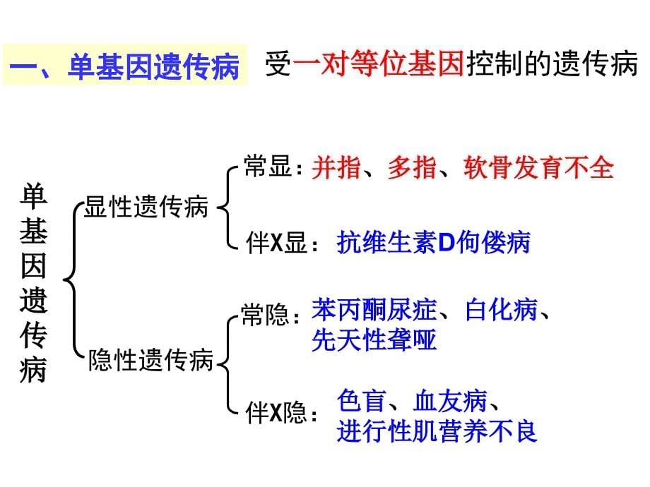 人类遗传病2幻灯片（人教版必修ii）_第5页