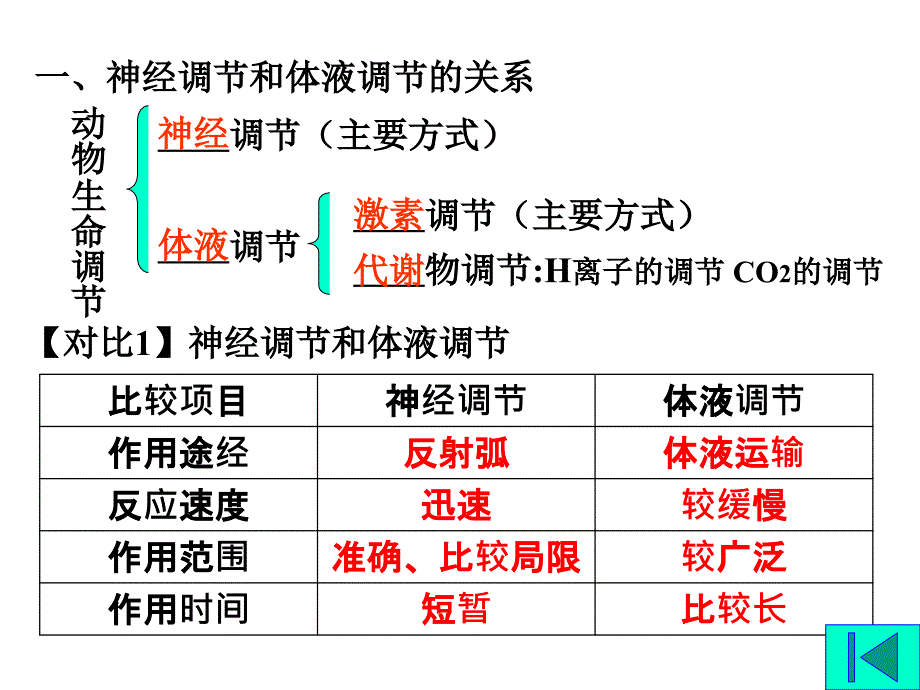 动物的神经体液调节课件_第2页