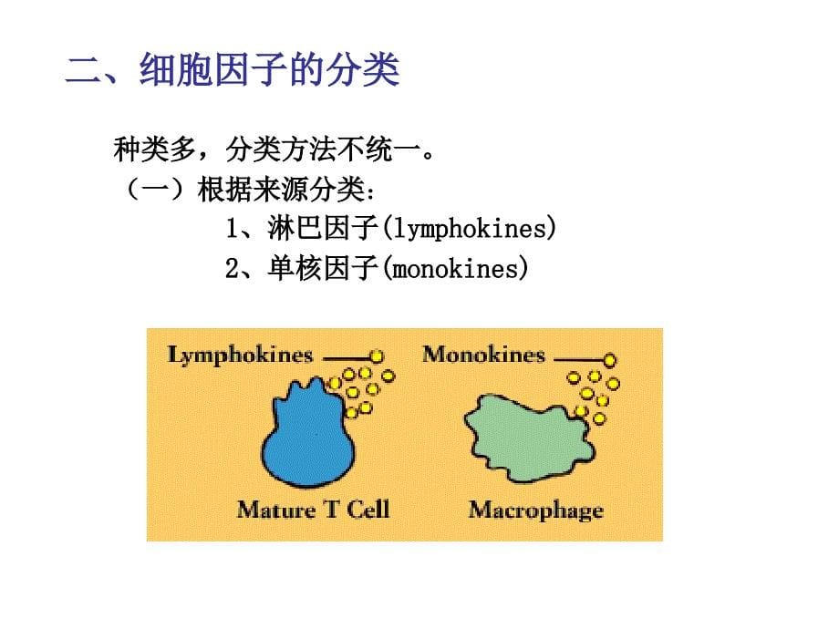 免疫学-细胞因子及其受体_第5页