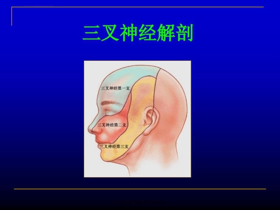 周围神经疾病-(3)课件_第5页