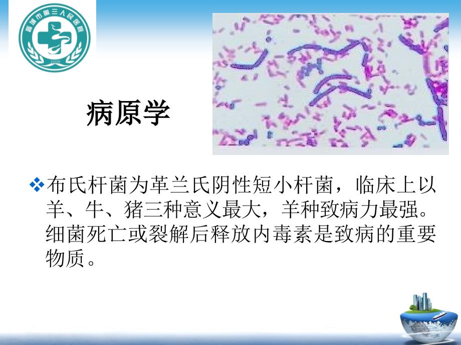 布氏杆菌病临床学-2013.7课件_第4页