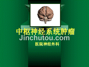 神经外科-中枢神经系统肿瘤