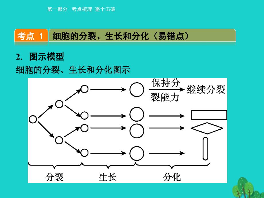 2017版中考生物-考点梳理-第2单元-第2章-细胞怎样构成生物体幻灯片-新人教版_第4页