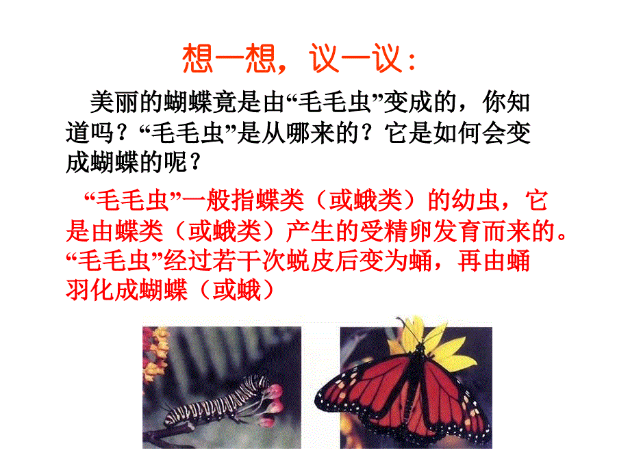 昆虫的生殖和发育幻灯片_第3页