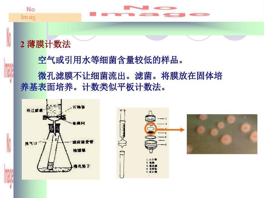 微生物的生长和遗传变异课件_第5页