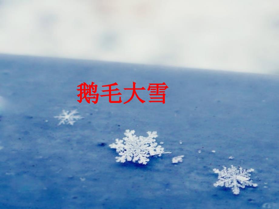 鹅毛大雪_第2页