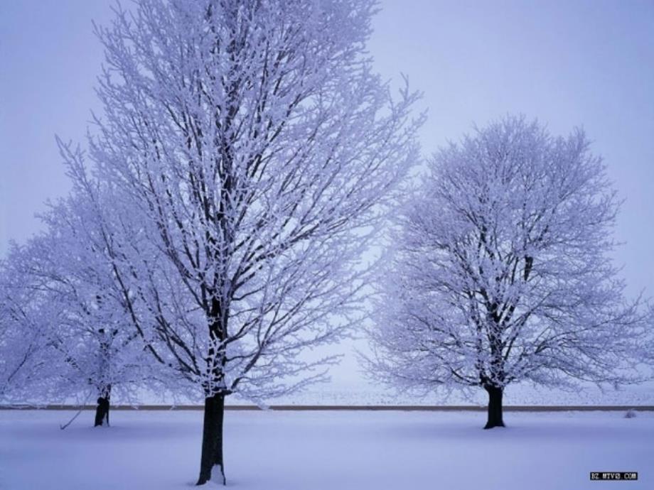 鹅毛大雪_第4页