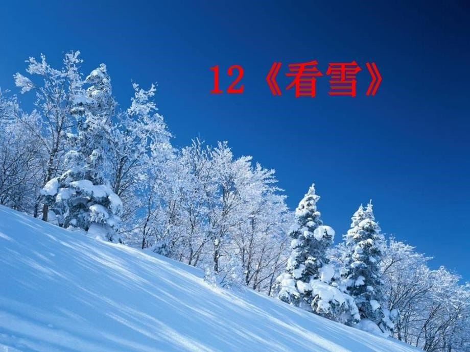 鹅毛大雪_第5页