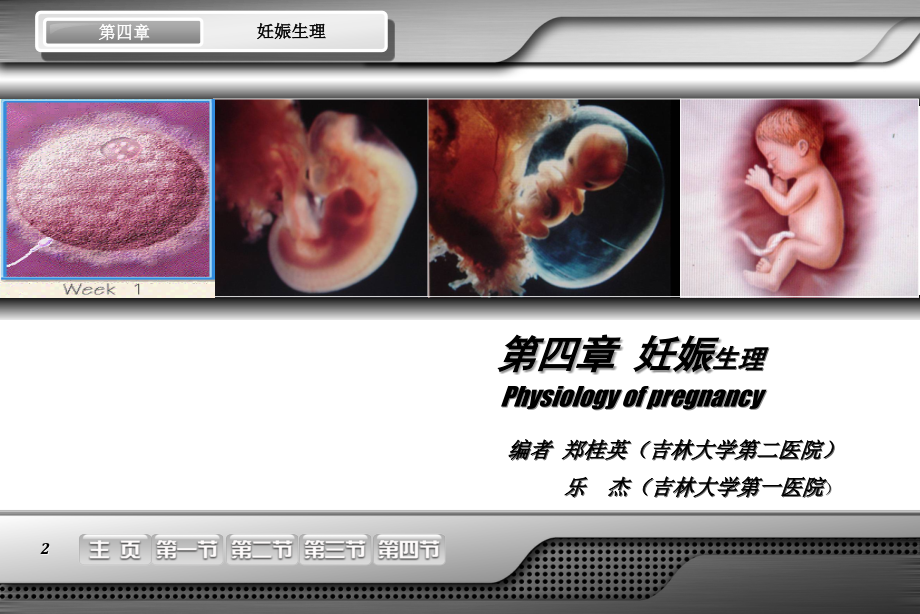 妇产科学04-妊娠生理_第2页